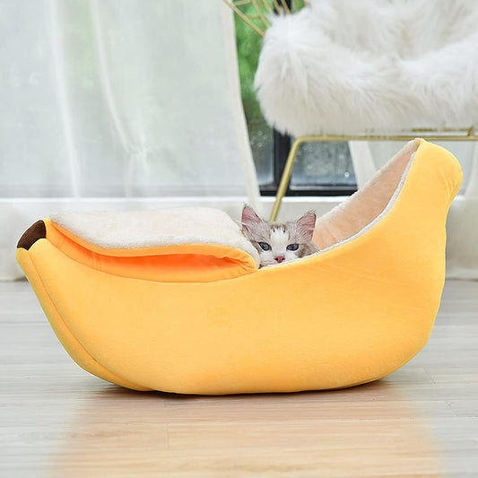 Katzen Bananenbett