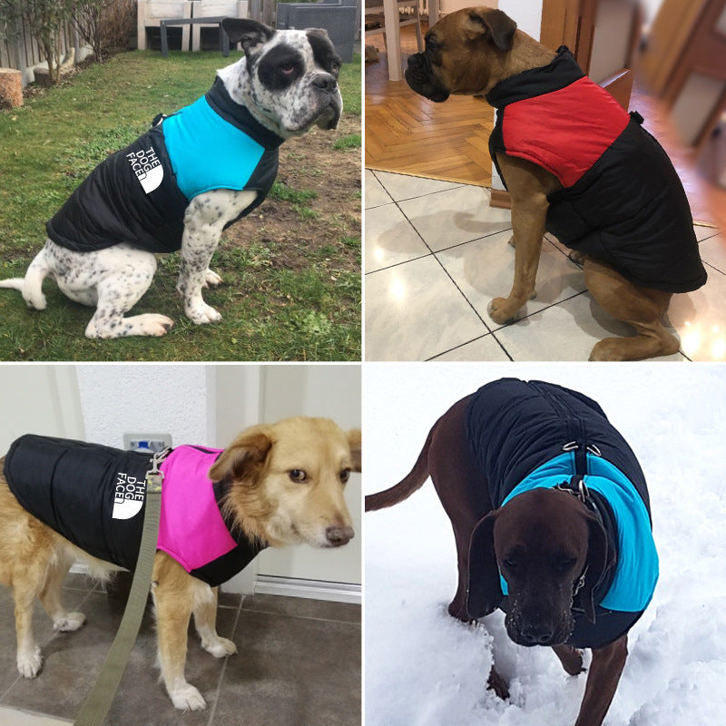 Hunde Regenjacke